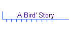 A Bird' Story